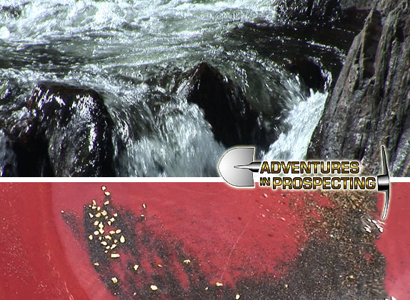 AIP031 DVD Roaring Camp: Gold Prospector's Paradise