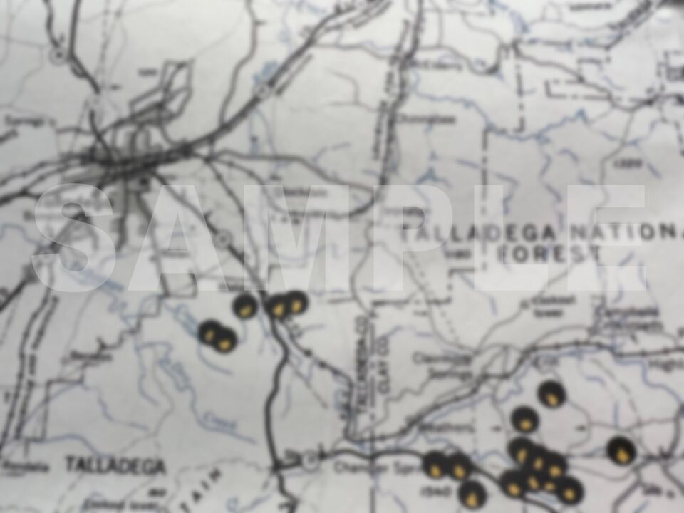 Big Ten's Map of Alabama and South Carolina Gold Deposit Locations 140 Sites