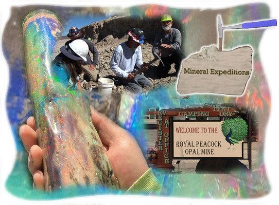 ME008 DVD Finding and Digging for Opals at the Royal Peacock Mine Nevada