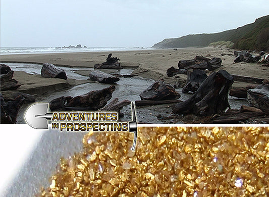 AIP018 DVD Extraction d'or sur la plage